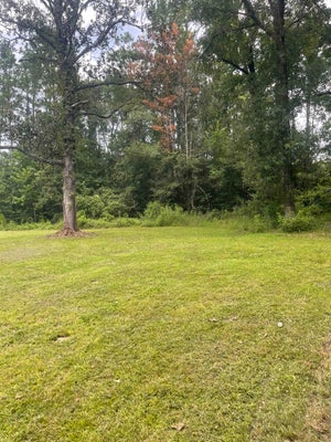 2045 FARM TO MARKET RD 1131ST RD, BUNA, TX 77612 - Image c714ddfc4bf8c4ffa7bd50d93fa78935/1174317020