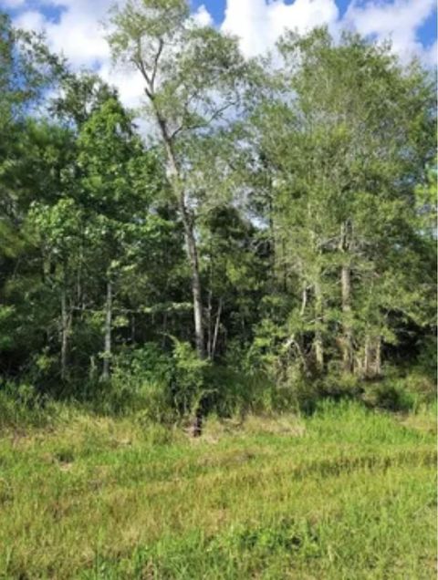 Photo of 3135 FM 2246, Buna, TX 77612 (MLS # 263702)