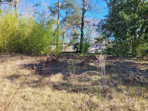 Photo of 4075 US Hwy 96 S, Jasper, TX 75951 (MLS # 264230)