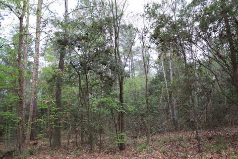 Photo of TBD Cr 3160, Colmesneil, TX 75938 (MLS # 266075)