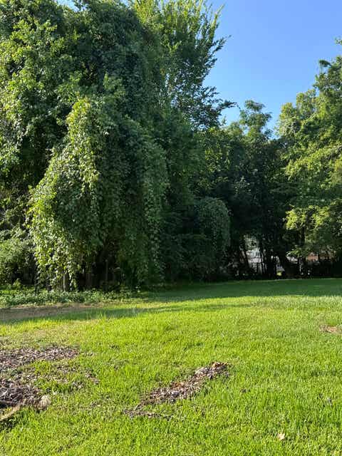 Photo of 910 Sherman St, Beaumont, TX 77701 (MLS # 269836)