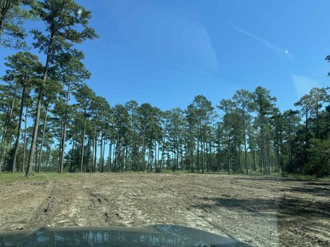 Photo of 508 Private Road 6028, Brookeland, TX 75931 (MLS # 263745)