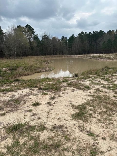 Photo of 2094 County Rd 826, Buna, TX 77612 (MLS # 265559)