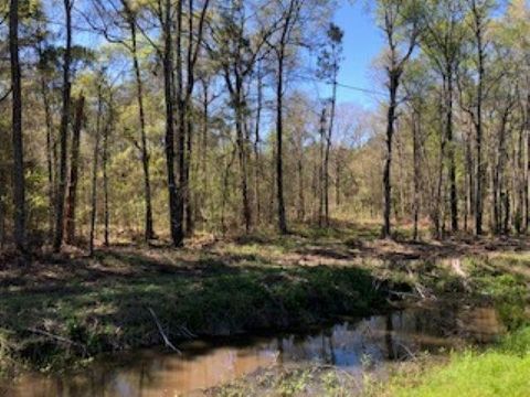 Photo of 620 Highway 62, Orange, TX 77632 (MLS # 266626)