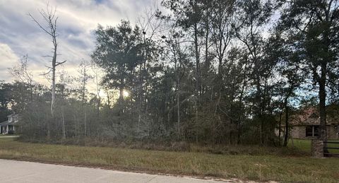 Photo of 325 Talpa Trail, Lumberton, TX 77657 (MLS # 263306)