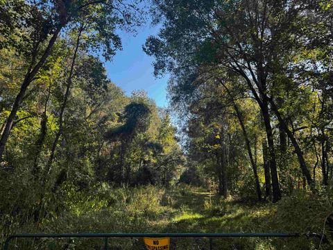 Photo of 7242 Campbell Rd, Orange, TX 77632 (MLS # 262276)
