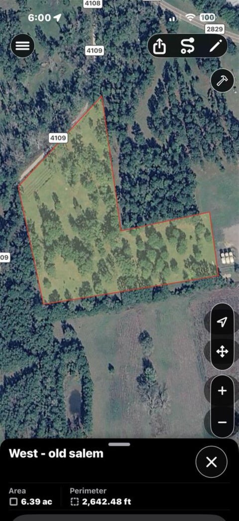 Photo of 217 County Road 4109, Call, TX 75933 (MLS # 271838)