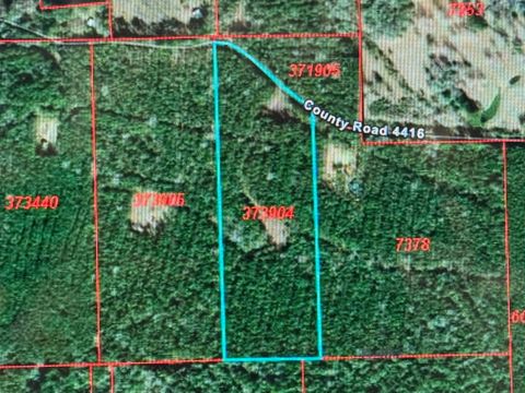 Photo of 795 County Road 4416, Spurger, TX 75979 (MLS # 262629)