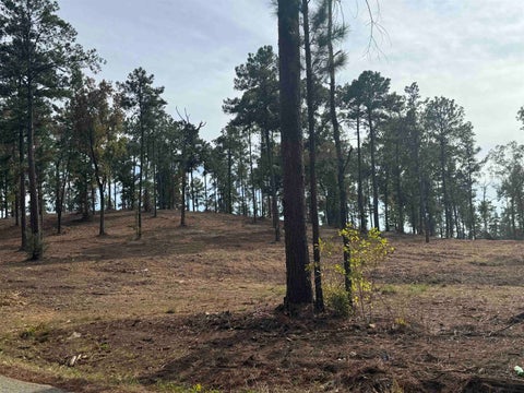 Photo of PID19831 County Road 219, Brookeland, TX 75931 (MLS # 271898)