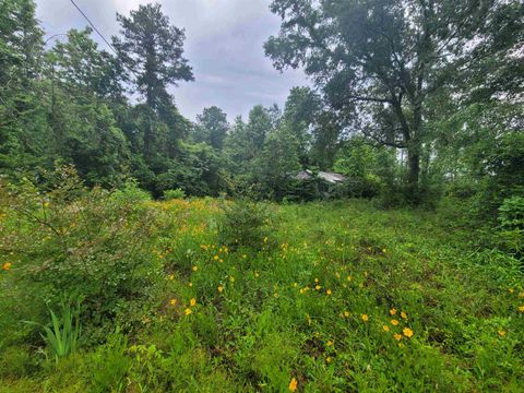 Photo of 0000 Fm 1012, Newton, TX 75966 (MLS # 264558)