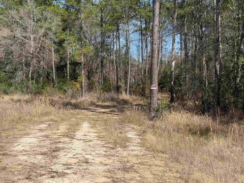 Photo of 9105 Grizzly, Kountze, TX 77625 (MLS # 265330)