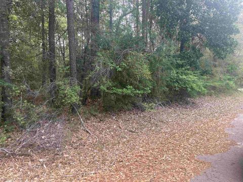 Photo of LOT 8 CHESTNUT DR, Village Mills, TX 77663 (MLS # 266290)