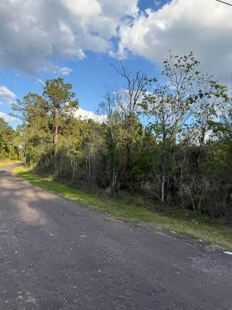 Photo of 00 Fm 2937, Silsbee, TX 77656 (MLS # 266228)