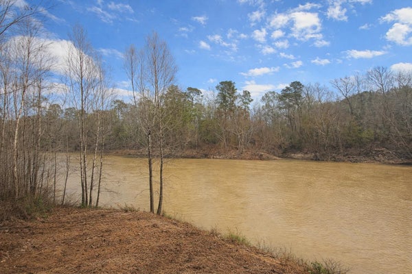274 COUNTY ROAD 3945, COLMESNEIL, TX 75938 - Image dda3b97e98f6e5a63baf6e5b3185ae7d/4172876757