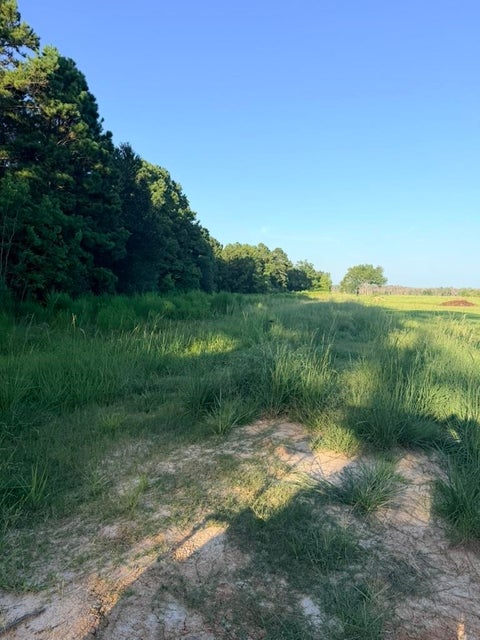 Photo of 000 County Road 3114, Buna, TX 77612 (MLS # 270294)