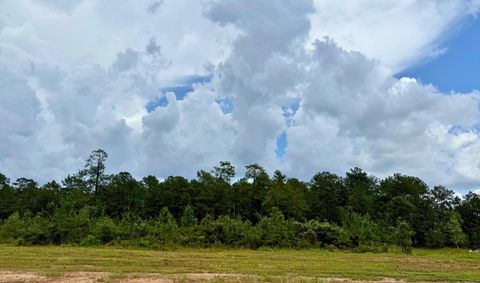 Photo of 13160 Blackberry Dr, Lumberton, TX 77657 (MLS # 264729)