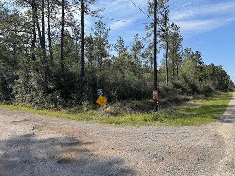 Photo of tbd Five Acre Tract Rd, Buna, TX 77612 (MLS # 266239)