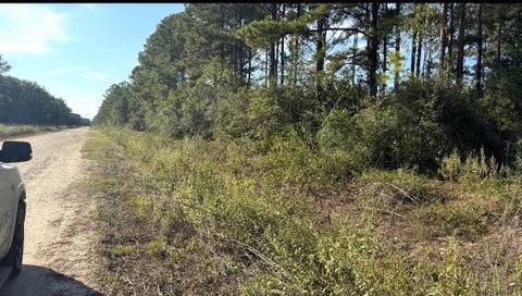 Photo of TBD Black Cat Road, Sour Lake, TX 77659 (MLS # 271890)