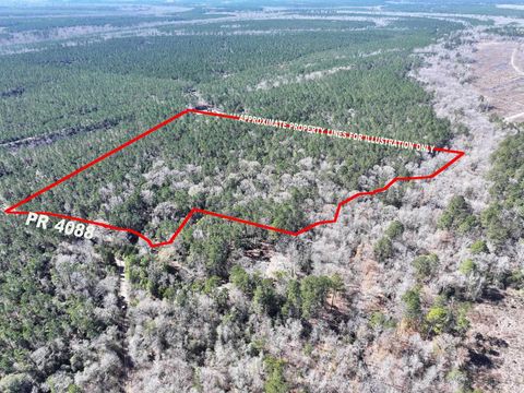 Photo of 422 County Road 4088, Bon Wier, TX 75928 (MLS # 265148)