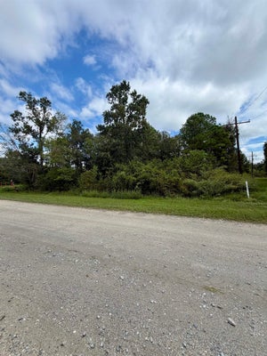 10585 DOGWOOD DR, BEAUMONT, TX 77705 - Image ec7c30ef01ea1d451fb2ce9fdc31ff79/3404668701