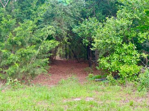 Photo of TBD County Road 1375, Warren, TX 77664 (MLS # 266871)