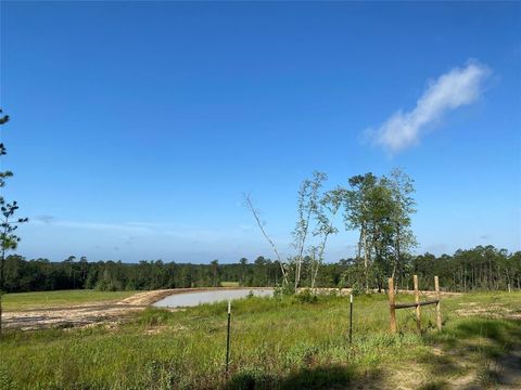 Photo of 0000 Cr 3000, Woodville, TX 75979 (MLS # 264879)