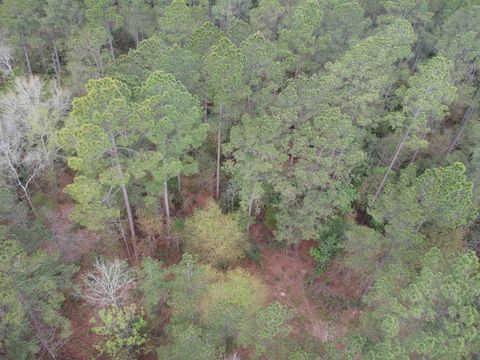 Photo of Lot 281 Lakeland Ranch, Hillister, TX 77624 (MLS # 266256)