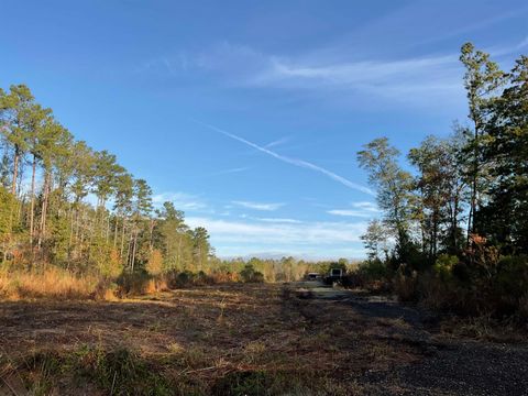 Photo of 319 County Road 4050, Woodville, TX 75979 (MLS # 263394)