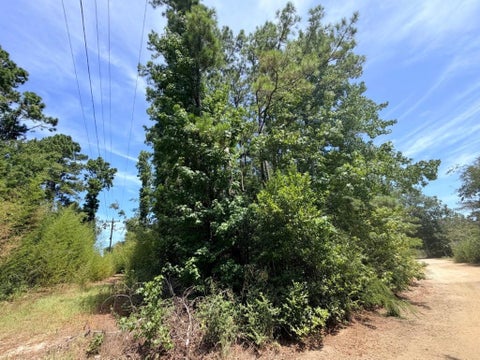 Photo of .44 AC FM 3414, Jasper, TX 75951 (MLS # 270436)