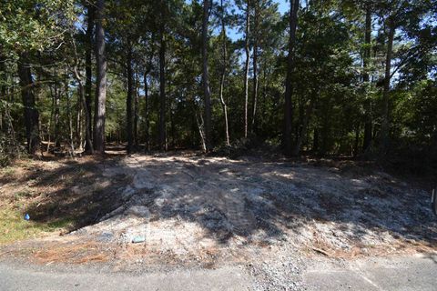Photo of 5145 Ariola, Lumberton, TX 77657 (MLS # 262654)