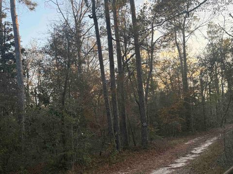 Photo of 500 Pr 8170, Kirbyville, TX 75956 (MLS # 263717)