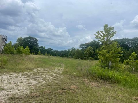 Photo of 02 CR 4595, Fred, TX 77616 (MLS # 266370)