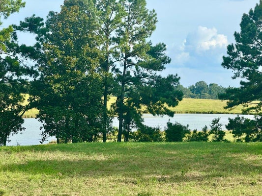 ADDRESS PRIVATE, HILLISTER, TX 77624 - Image fc2a1c24c19a76ead2d8840981cc4c43/73412975