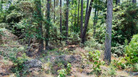 Photo of TBD Tobacco Rd, Brookeland, TX 75931 (MLS # 268526)
