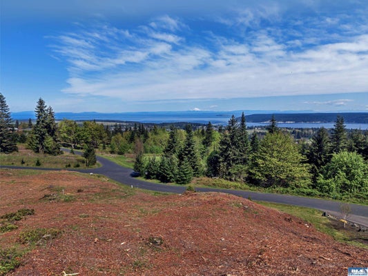 54 HIGH VIEW WAY, SEQUIM, WA 98382 - Image 6e3ff75f8f117f8b2fcf4d4b86a2135a/704874967