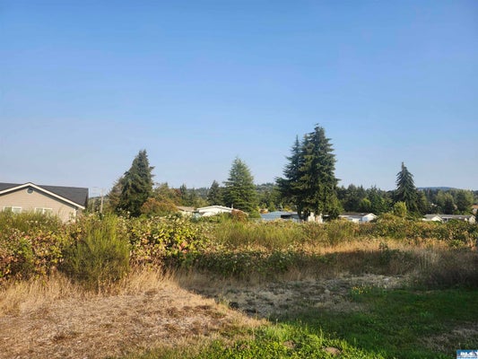 421 W SALAL PL, SEQUIM, WA 98382 - Image 7da34740a32c0e72fb6fda7754f4f524/3208707460