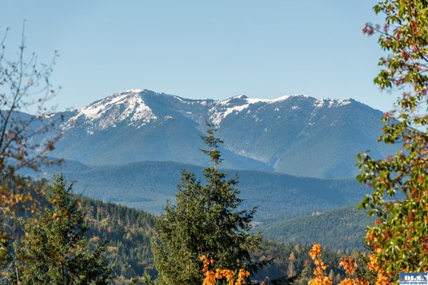 1051 FOX HOLLOW RD, SEQUIM, WA 98382 - Image 80d596d8e16b6a5f5018ceb027cb9ade/2321331626