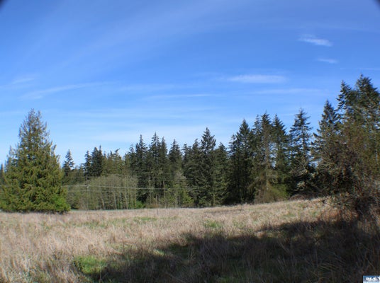 OSO VISTA CT, SEQUIM, WA 98382 - Image de85f26b60df9d5e2131c911bee487bb/3895100260