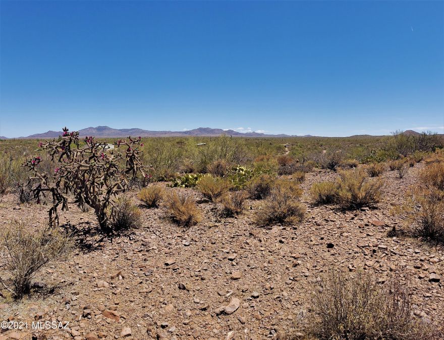 20 beautiful acres with mountain views bordering state land along the west property line. Tocayo Rd is on the west end of this parcel. Can be split into 5 parcels if desired. 4 would be ideal. Electric & telephone is located on Tocayo Rd. Drill a domestic water well and use LP Gas if so desired. Shopping is located in Catalina, AZ. or in Oro Valley a little further south. If you seek peace & quiet, you just found it.