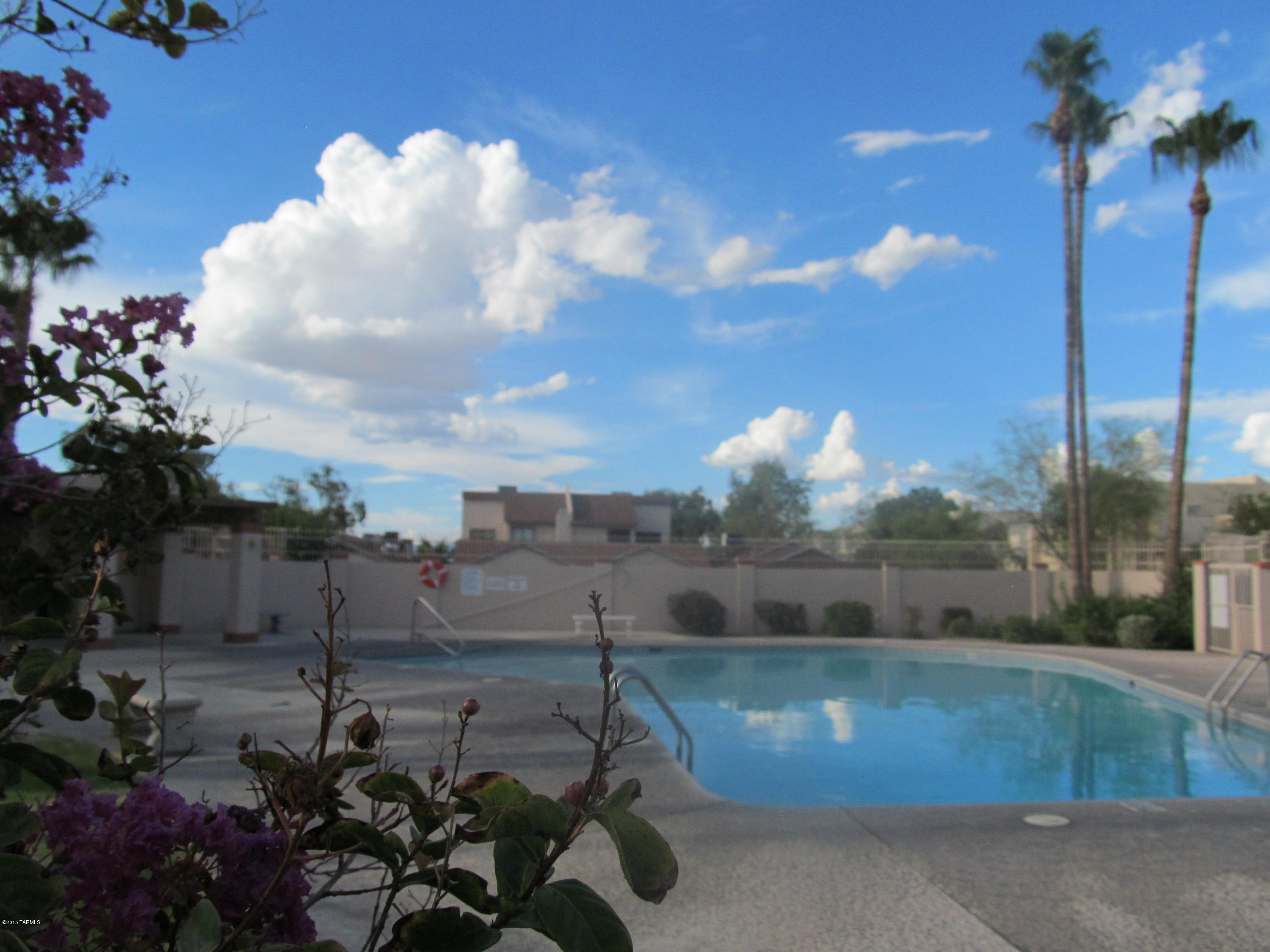 Casitas De Palo Santo (1-225) - Residential Lease