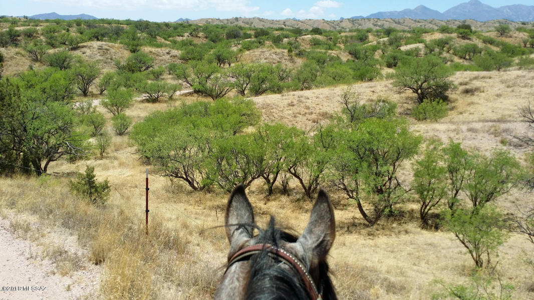Crown C Ranch - Residential