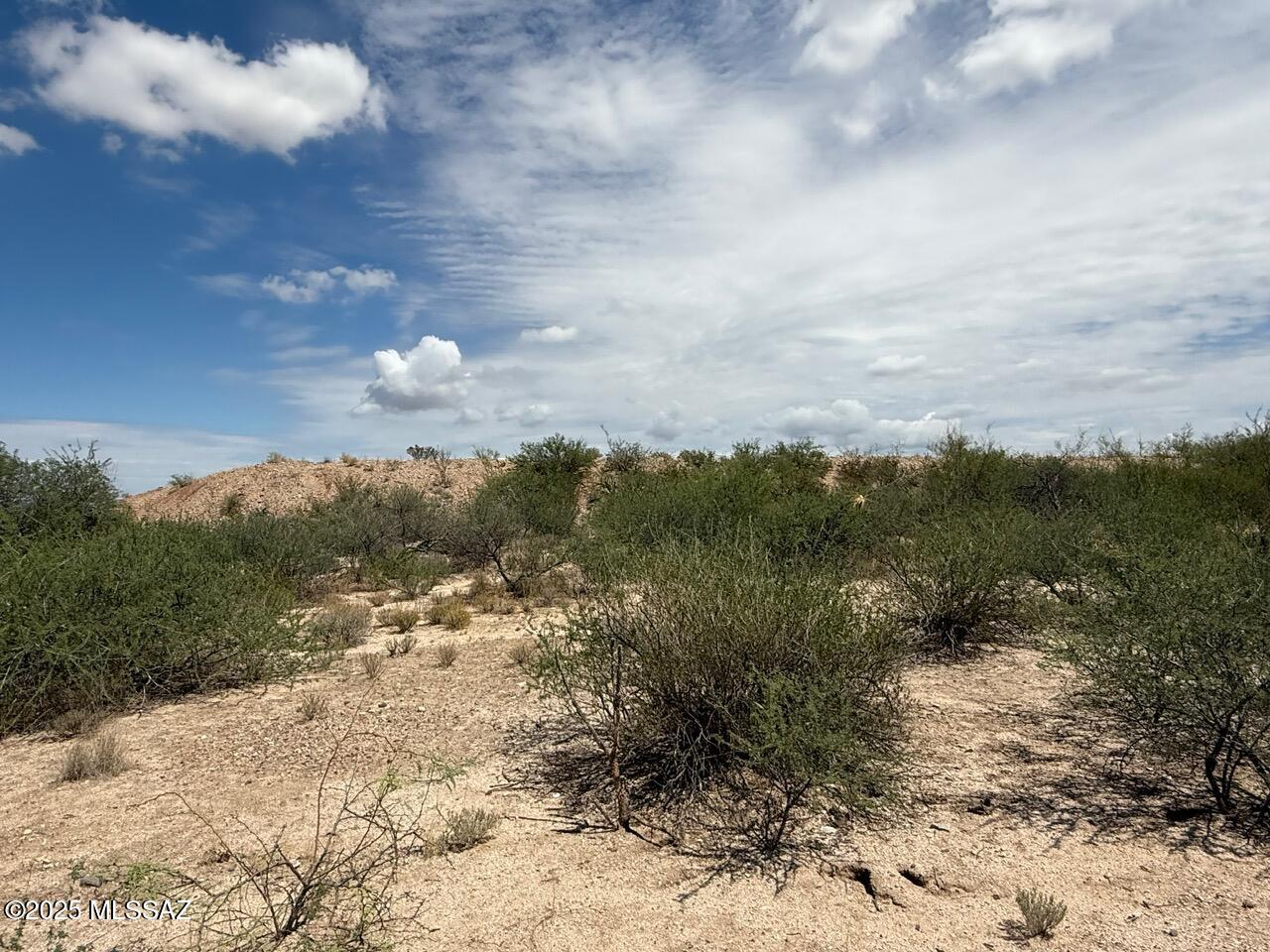 9.93 ac S Lonesome Road