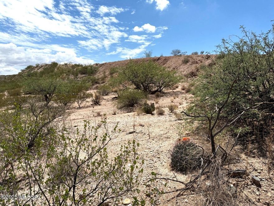 9.93 acres a combination of flat and hillside with  views of the San Pedro River Valley and Benson City lights. Electric available, a septic system already installed & a 1/3 well share is included. Located on paved Lonesome Rd.