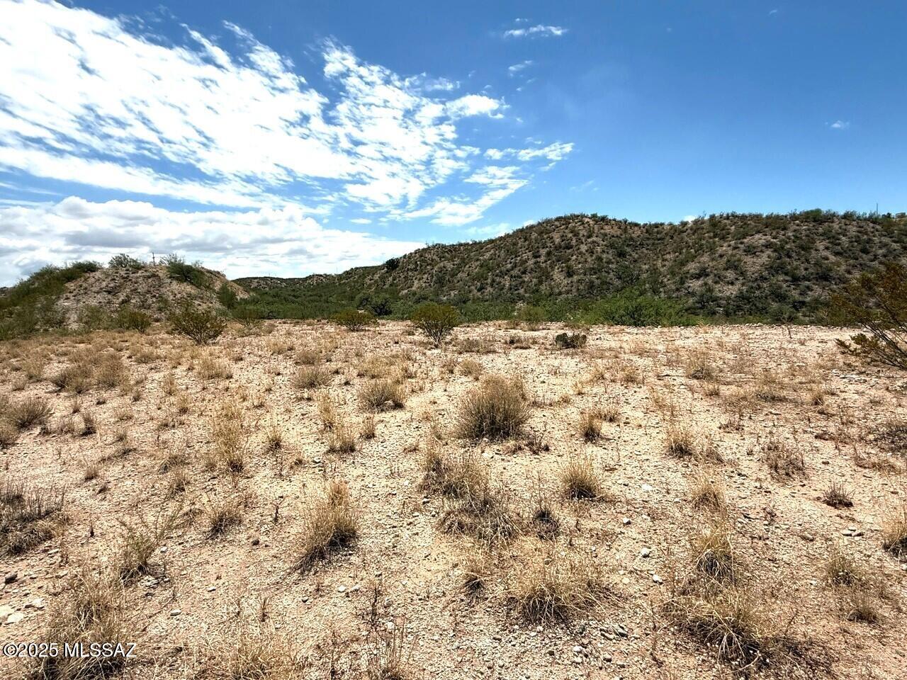 9.93 ac S Lonesome Road