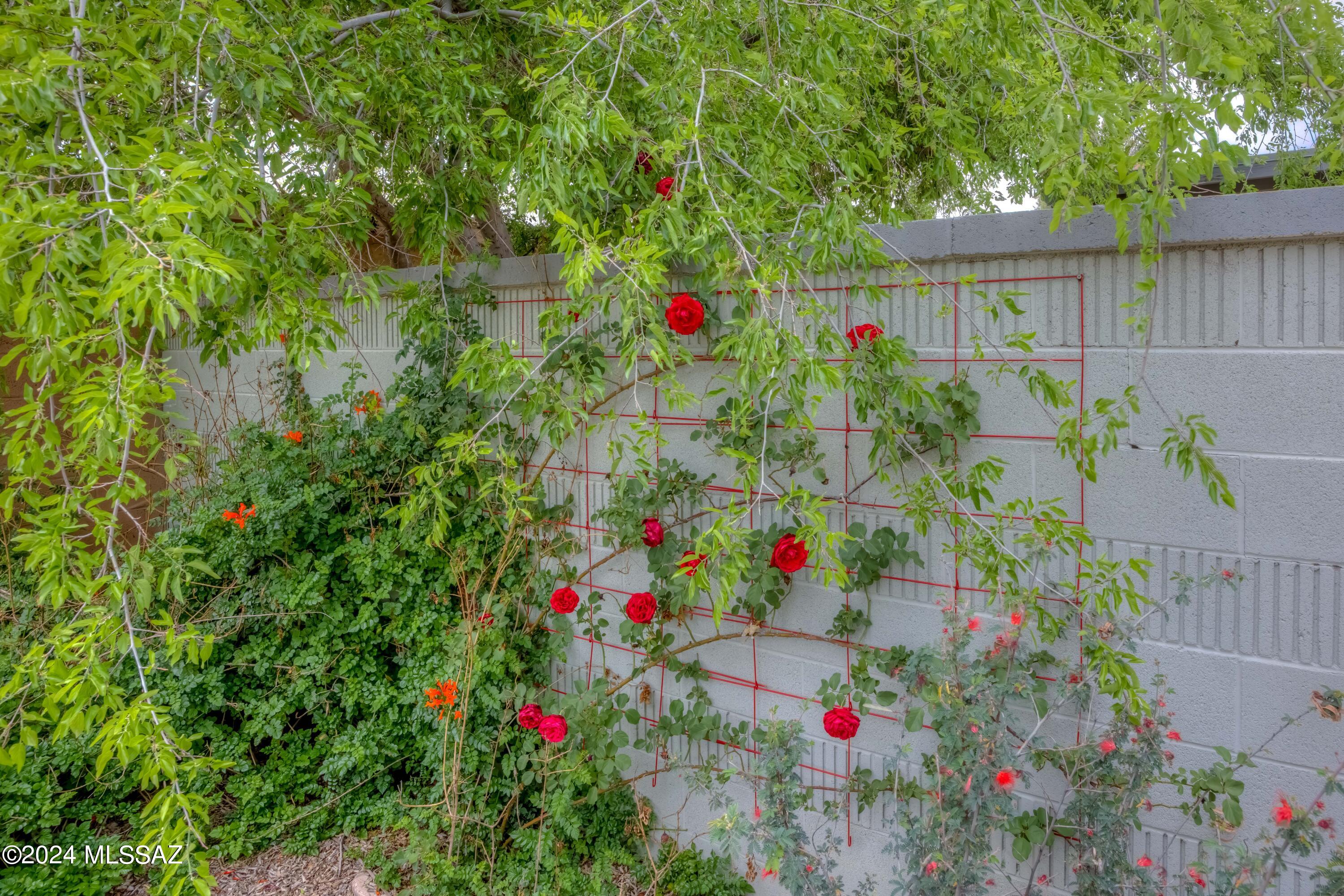 Catalina Farms - Residential