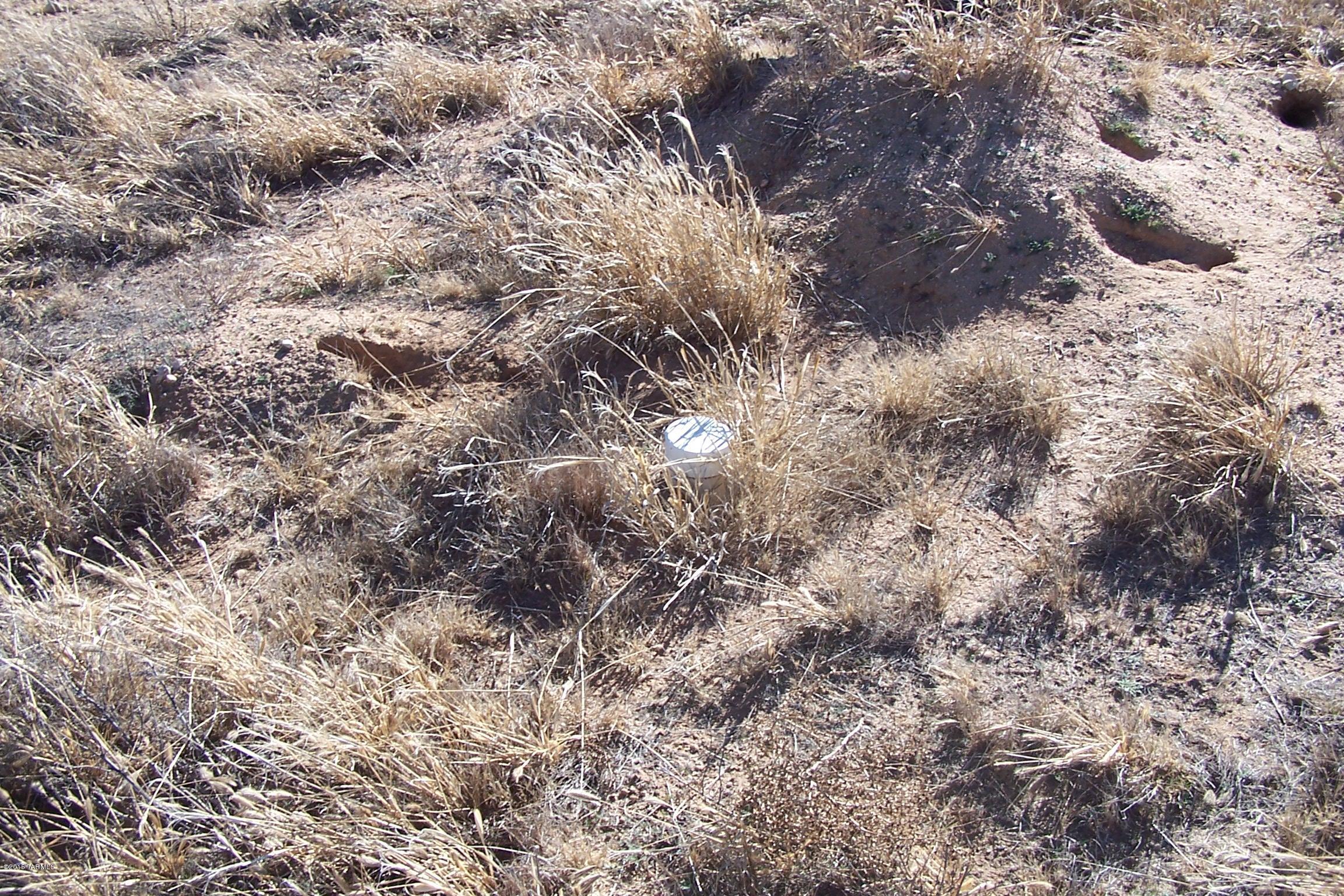 Out Of Pima County - Land