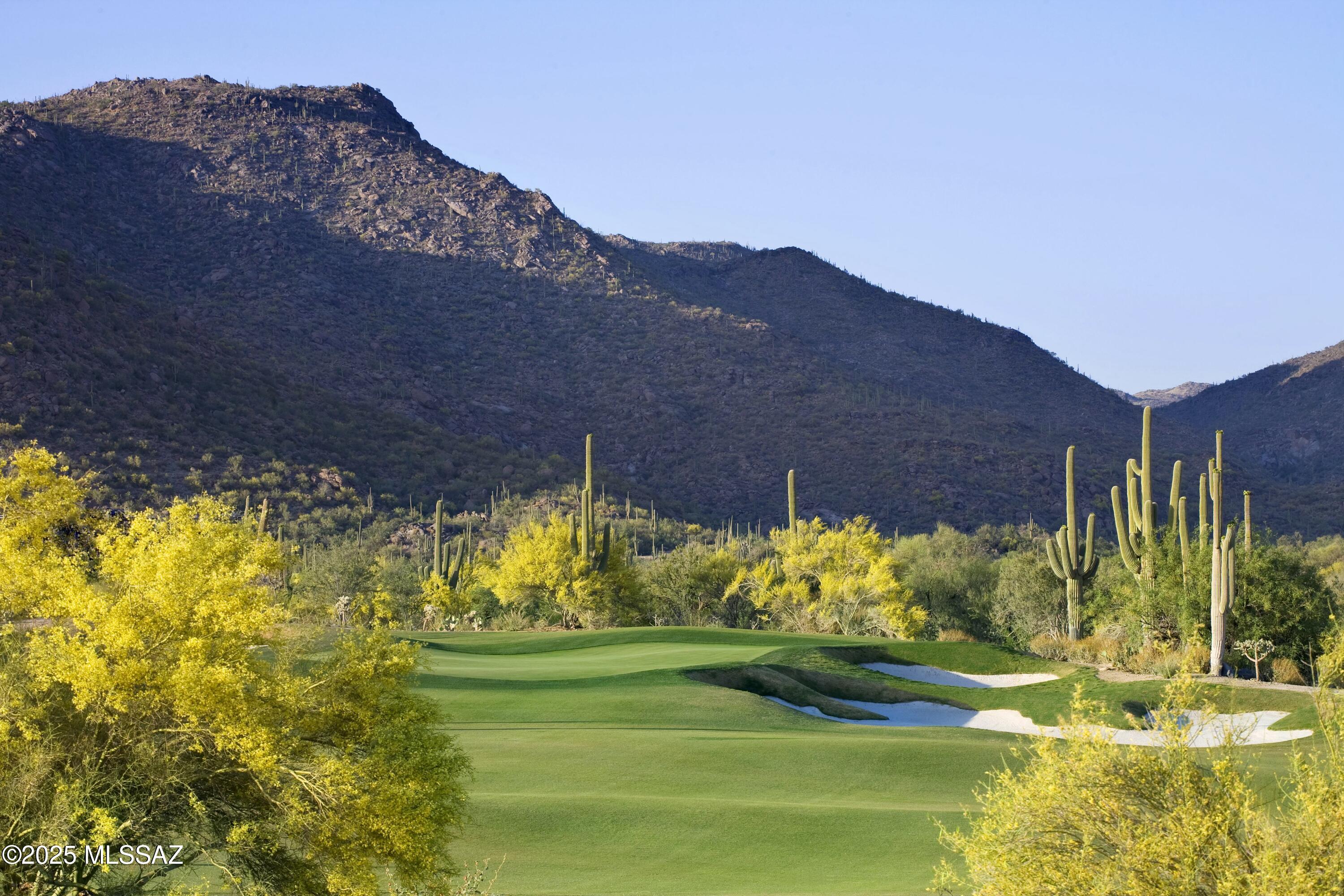 Dove Mountain Resort (1-153) - Residential