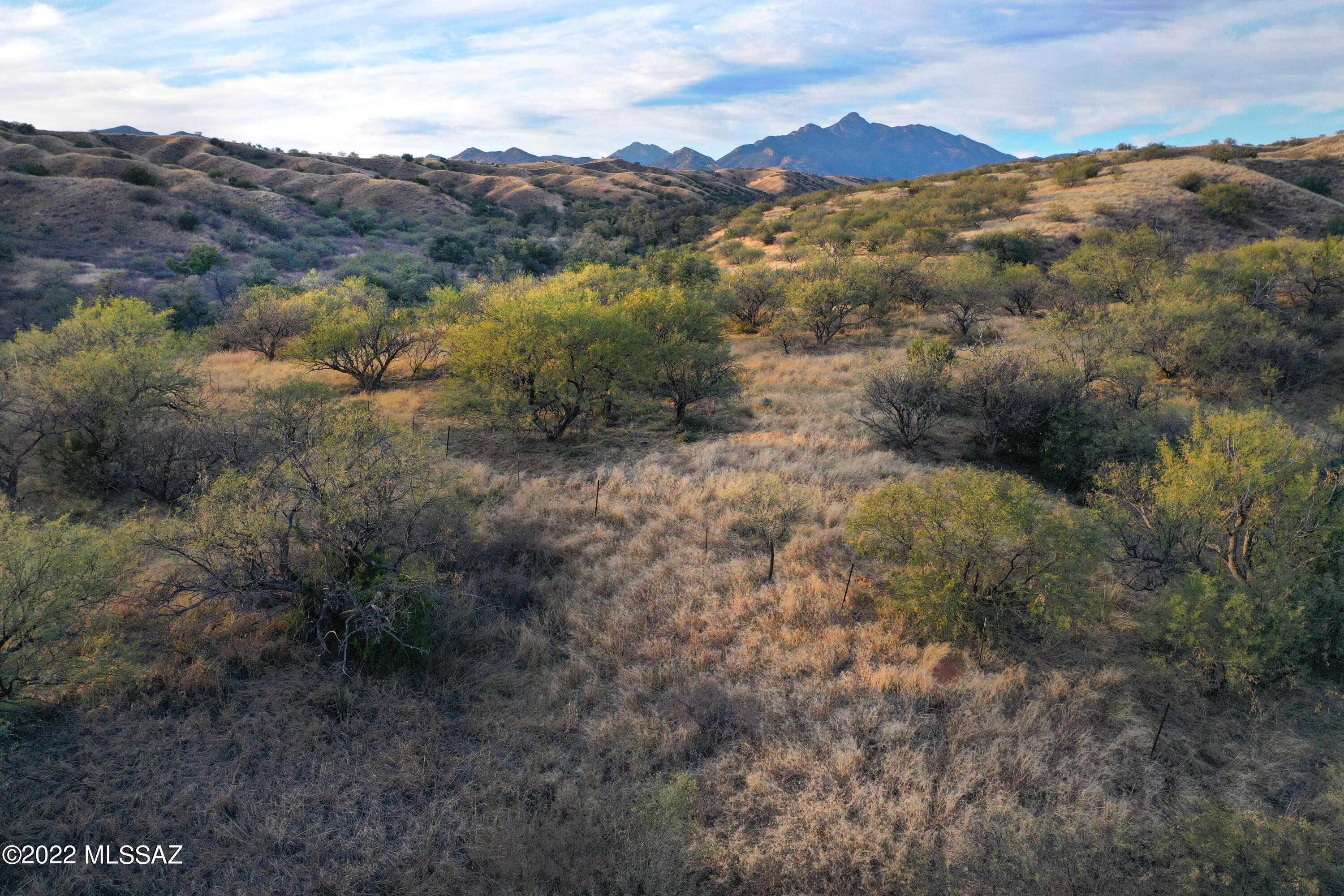 The Estates At Three Canyons - Land