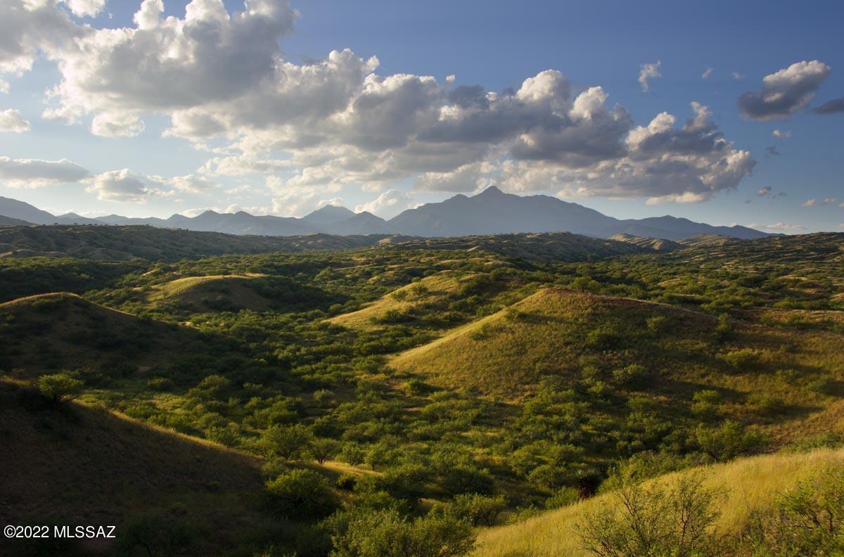 The Estates At Three Canyons - Land