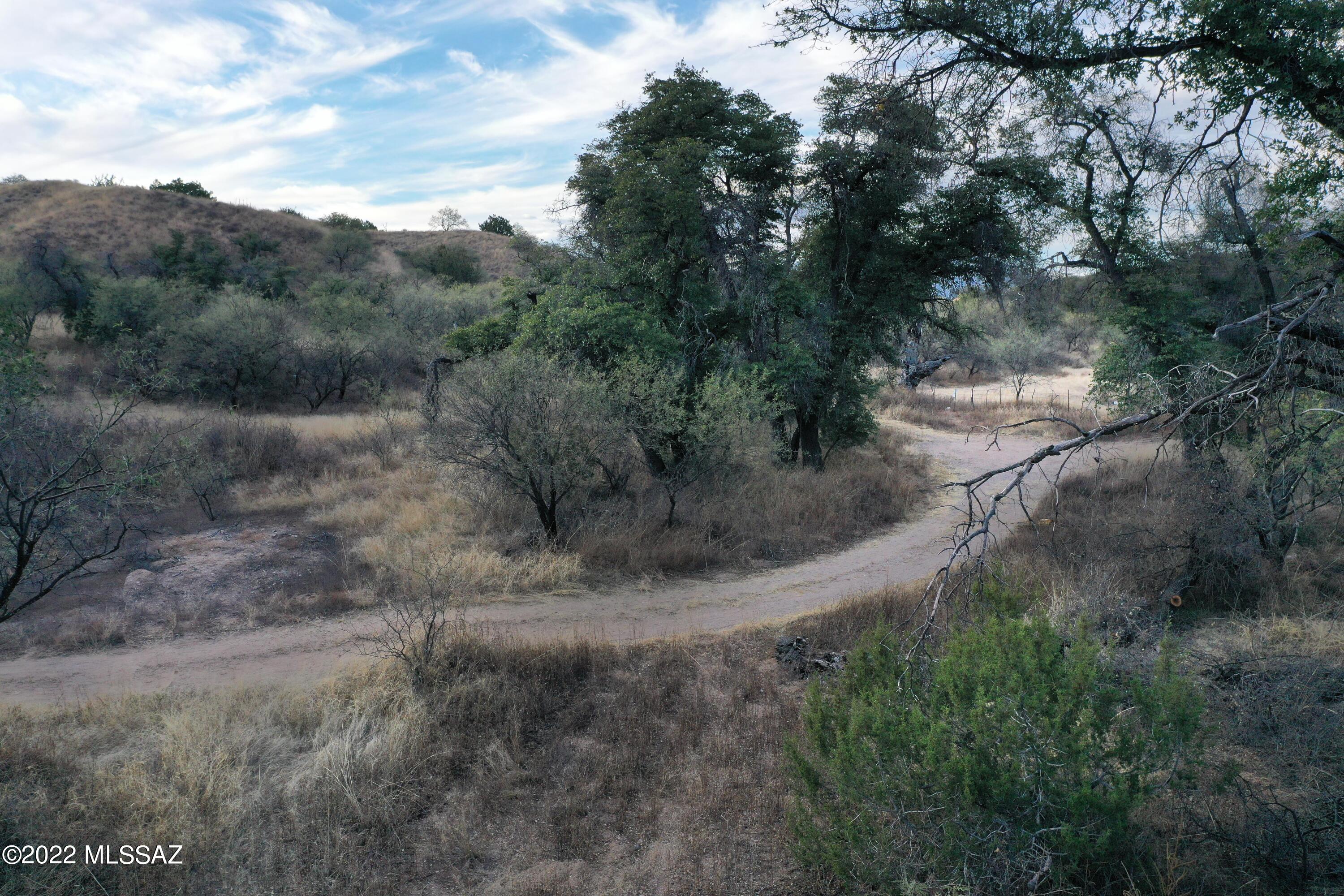 The Estates At Three Canyons - Land